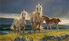 Nancy Glazier
