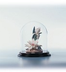 Lladro Serenade_in_white_le300_2001-C&nbsp;1843M 