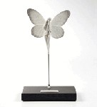 Lladro Ideopsis_gaura&nbsp;8095. 