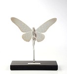 Lladro Papilio_gigante&nbsp;8096. 