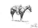 Bill  Owen