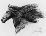 Sheri Greves-Neilson