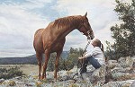 Steve Hanks