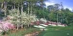 Larry Dyke