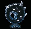 Dan Medina&nbsp;Orcas Encompassed Ap