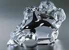 Kitty Cantrell&nbsp;Orca Wave