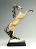 Armani Rearing Horse