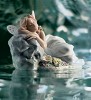 Lladro Princess Of Elves 2002 Priviledge