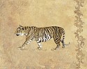 Gamboa&nbsp;Wild Tiger