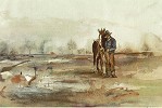 Gamboa Companionship