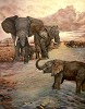 Gamboa African Sunset Giclee