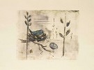 Gamboa Little Blue Bird