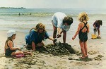Tom Sierak&nbsp;Building Castles