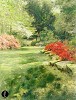 Leonard Wren&nbsp;Spring Rouge