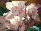 Brian Davis&nbsp;Cymbidium Spray