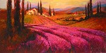 Irene Sheri&nbsp;Lavender Twilight