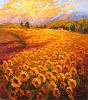 Irene Sheri&nbsp;Sunflowers