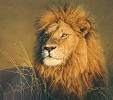Daniel Smith&nbsp;The Sublime Limited Edition Canvas