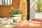 Lorna Patrick&nbsp;Geraniums