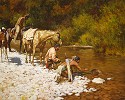 Howard Terpning&nbsp;Prospectors Among The Blackfeet, Masterwork Canvas Edition