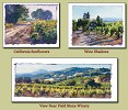June Carey Studies Of...wine Country California Limited Edition Print