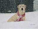 John Weiss Cold Nose Warm Heart Limited Edition Print