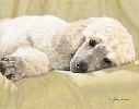 John Weiss&nbsp;Best Loved Breeds White Standard Poodle L. E. Print