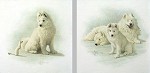 Scott Kennedy&nbsp;A Curious Encounter & A New Generation L.e.print