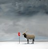 Robert Deyber&nbsp;The Buck Stops Here