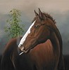 Robert Deyber&nbsp;Your High Horse