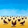 Robert Deyber&nbsp;The Pecking Order