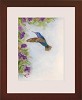 Tim Ashkar&nbsp;Humming Bird with Sweet Pea Original Oil on Board Framed