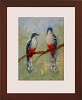 Tim Ashkar&nbsp;Pair of Cuban Birds Original Oil on Board Framed