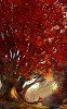 Stephan Martinierre&nbsp;Do You Make Honey Giclee On Canvas
