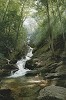 Phillip_Philbeck&nbsp;Altar Of The Forest By Phillip Philbeck Giclee On Canvas  Signed & Numbered