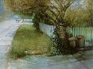 Brenda Joysmith&nbsp;Gaston Street Memory