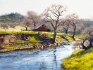 June Carey Early Spring At Stony Creek Limited Edition