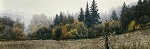 Stephen Lyman The Field Watcher Smallwork Canvas Edition