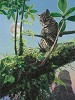 Rod Frederick&nbsp;Moonlighting Smallwork Canvas Edition