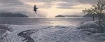 Stephen Lyman North Country Shores Masterwork Anniversary Edition