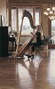 Steve Hanks&nbsp;Private Recital Limited Edition Print