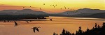 Stephen Lyman Sounds Of Sunset Limited Edition Canvas