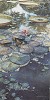 Steve Hanks&nbsp;Water Lilies In Bloom Limited Edition Print