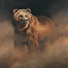 Edward  Aldrich&nbsp;Hunters Gaze By Edward Aldrich Giclee On Canvas  Grande Edition