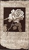 Keith Mallett&nbsp;Prelude Etching
