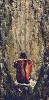 Alonzo Adams&nbsp;Meditation Giclee