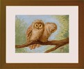 Tim Ashkar&nbsp;Pair Of Owls Original Oil on Board Framed