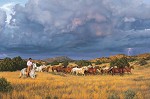 Tim Cox Thunder Rolls By Tim Cox Print Signed & Numbered