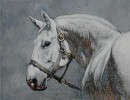 Adeline Halvorson_LOYAL PARTNER 