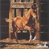 Ann  Hanson&nbsp;THE STARTING GATE